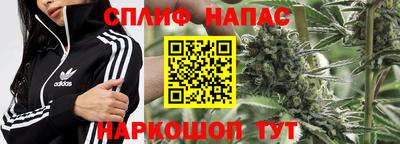 PSILOCYBIN Бузулук