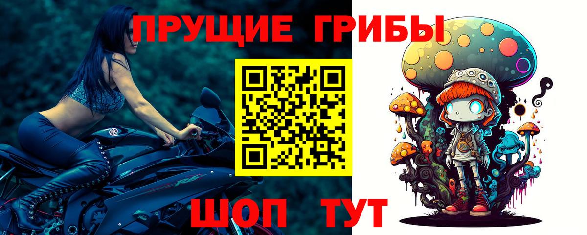Нягань  Псилоцибиновые грибы GOLDEN TEACHER  Вход с VPN  Галлюциногенные грибы Cubensis 